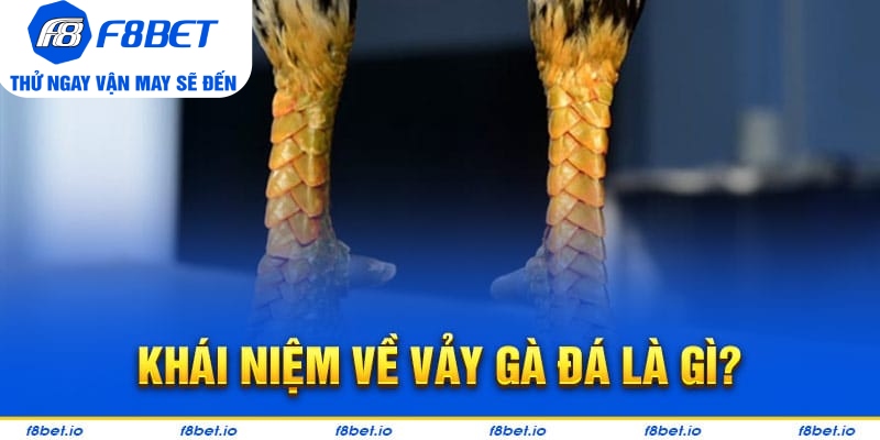 Vảy Gà Thới Hoa Đăng - Bí Kíp Lựa Chiến Kê Tốt F8bet