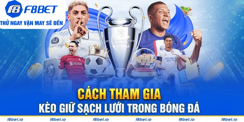 Bí Quyết Bắt Kèo Giữ Sạch Lưới Cực Hiệu Quả Từ Chuyên Gia