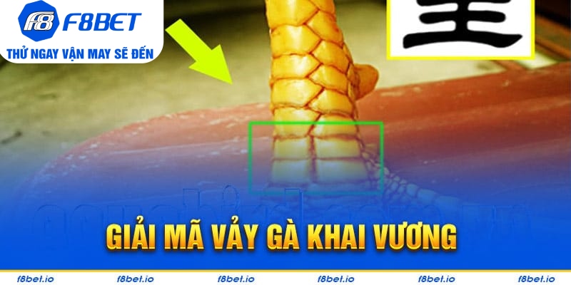 Bật Mí Vảy Gà Khai Vương Và Cách Nhận Biết Chúng Ra Sao?