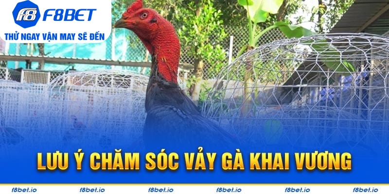 Bật Mí Vảy Gà Khai Vương Và Cách Nhận Biết Chúng Ra Sao?