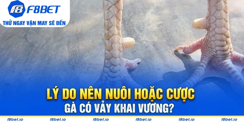 Bật Mí Vảy Gà Khai Vương Và Cách Nhận Biết Chúng Ra Sao?