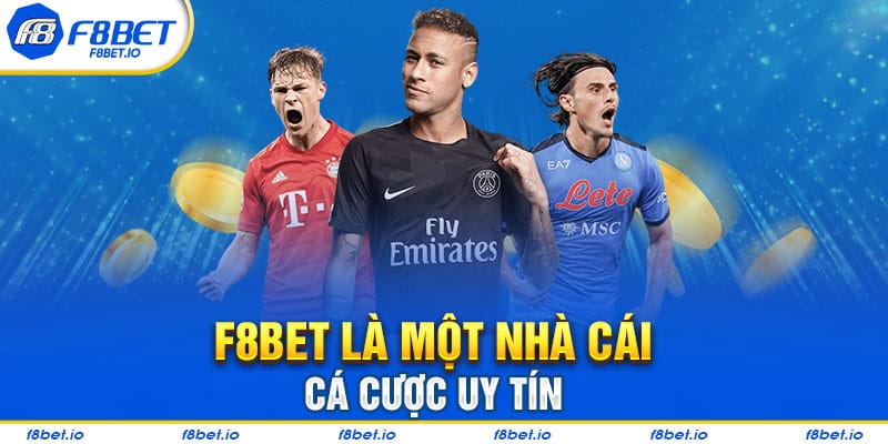 Thông Tin Những Câu Hỏi Thường Gặp Tại Nhà Cái F8bet 2026