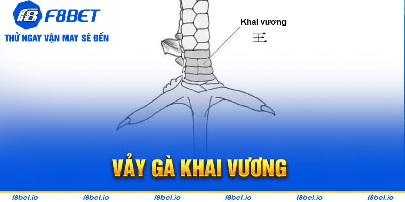 Bật Mí Vảy Gà Khai Vương Và Cách Nhận Biết Chúng Ra Sao?