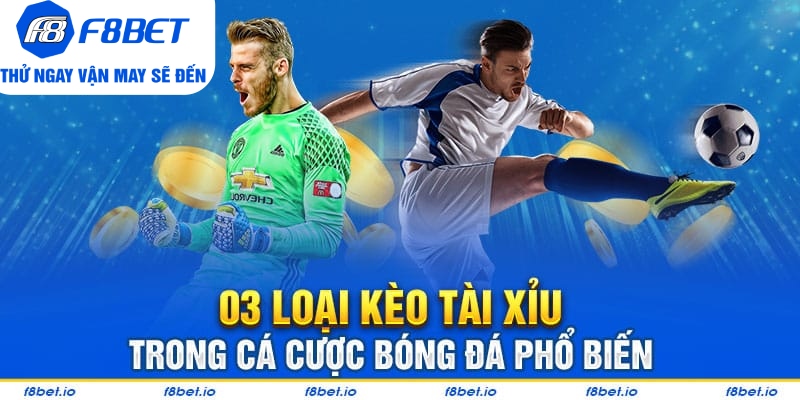 Những Điều Cần Biết Về Kèo Tài Xỉu Dành Cho Người Chơi Mới