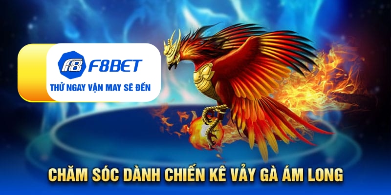 Vảy gà ám long - Đặc điểm nhận biết linh kê quý hiếm