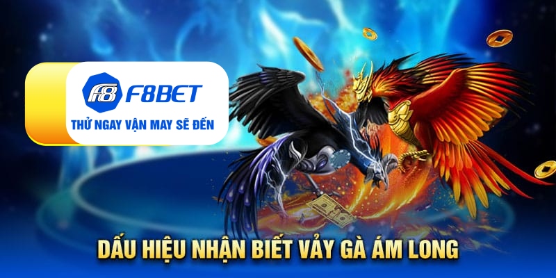 Vảy gà ám long - Đặc điểm nhận biết linh kê quý hiếm