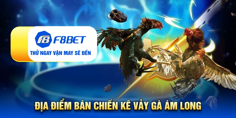 Vảy gà ám long - Đặc điểm nhận biết linh kê quý hiếm