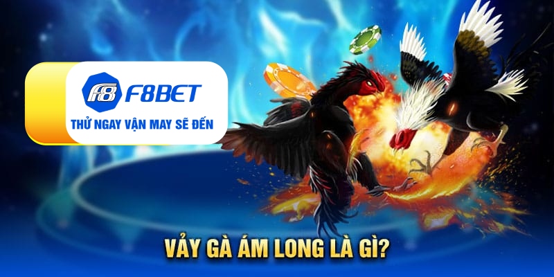 Vảy gà ám long - Đặc điểm nhận biết linh kê quý hiếm