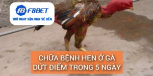 Đá Gà F8bet | Sảnh Cược Gà Đá Uy Tín Cho Các Kê Thủ