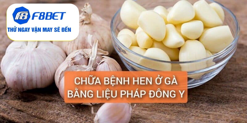 Chữa Bệnh Hen Ở Gà Điều Trị Dứt Điểm Trong 5 Ngày - f8bet