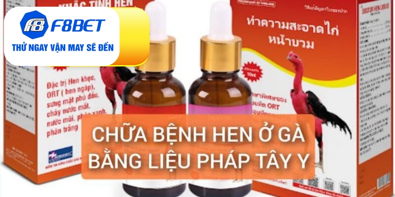 Chữa Bệnh Hen Ở Gà Điều Trị Dứt Điểm Trong 5 Ngày - f8bet