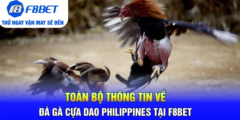 Toàn Bộ Thông Tin Về Đá Gà Cựa Dao Philippines Tại F8BET