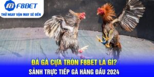 Đá Gà F8bet | Sảnh Cược Gà Đá Uy Tín Cho Các Kê Thủ
