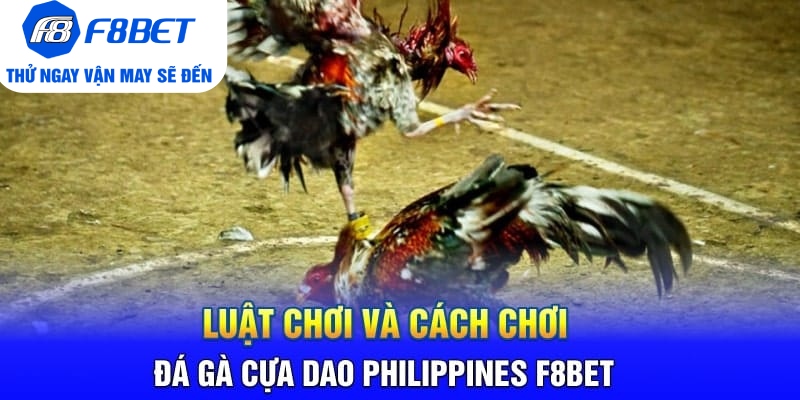 Toàn Bộ Thông Tin Về Đá Gà Cựa Dao Philippines Tại F8BET