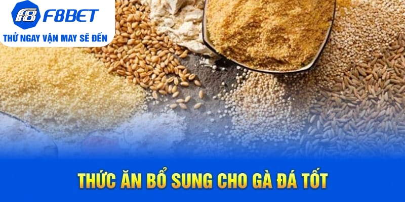 Top 7 Loại Thức Ăn Cho Gà Đá Chất Lượng Trên Thị Trường