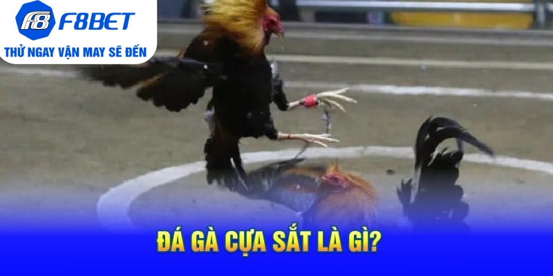 Đá Gà Cựa Sắt Là Gì? Mẹo Hay Và Hiệu Quả Khi Chơi Đá Gà