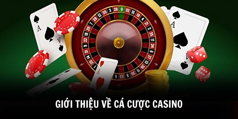 Hướng Dẫn Cá Cược Casino Chi Tiết Cho Trải Nghiệm Đỉnh Cao