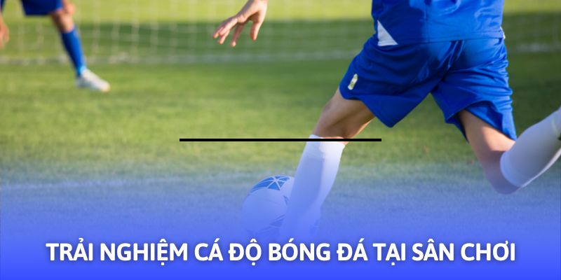 Hướng Dẫn Cá Độ Bóng Đá - 03+ Mẹo Hay Từ F8BET