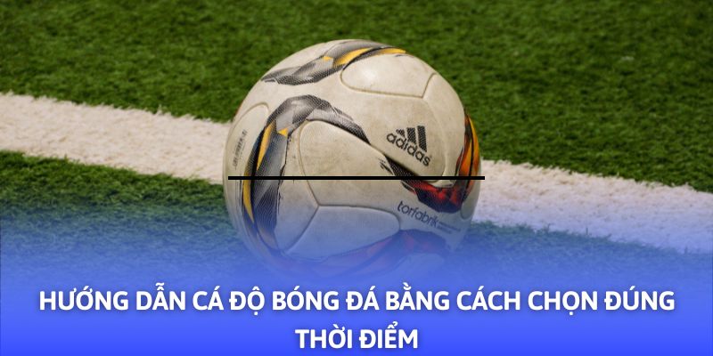 Hướng Dẫn Cá Độ Bóng Đá - 03+ Mẹo Hay Từ F8BET