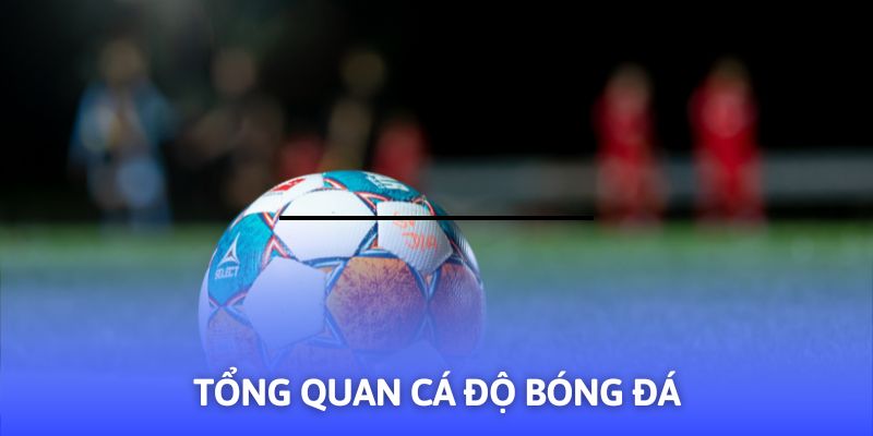Hướng Dẫn Cá Độ Bóng Đá - 03+ Mẹo Hay Từ F8BET