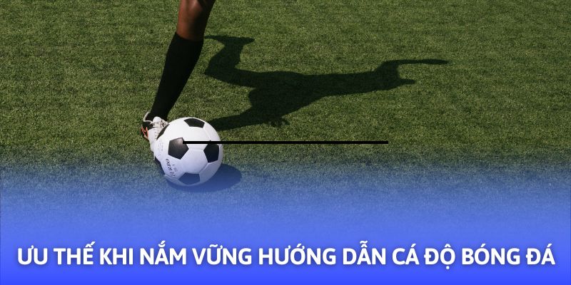 Hướng Dẫn Cá Độ Bóng Đá - 03+ Mẹo Hay Từ F8BET