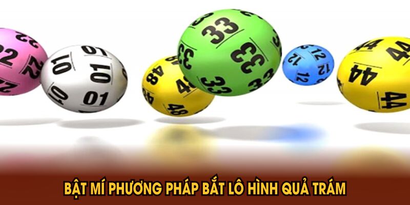 Phương Pháp Bắt Lô Hình Quả Trám Hiệu Quả Bạn Nên Biết