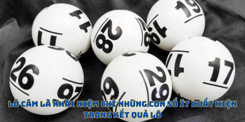 Lô Câm - Thao Tác Chơi Độc Đáo Nhất Tại F8BET Năm 2026 