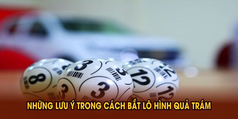 Phương Pháp Bắt Lô Hình Quả Trám Hiệu Quả Bạn Nên Biết
