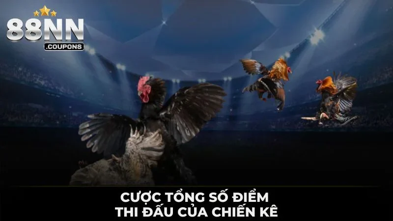 Đá Gà Thomo Tại 88NN - Các Trận Đấu Ấn Tượng Kịch Tính