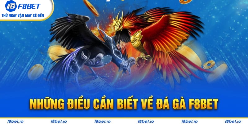 Đá Gà F8bet | Sảnh Cược Gà Đá Uy Tín Cho Các Kê Thủ